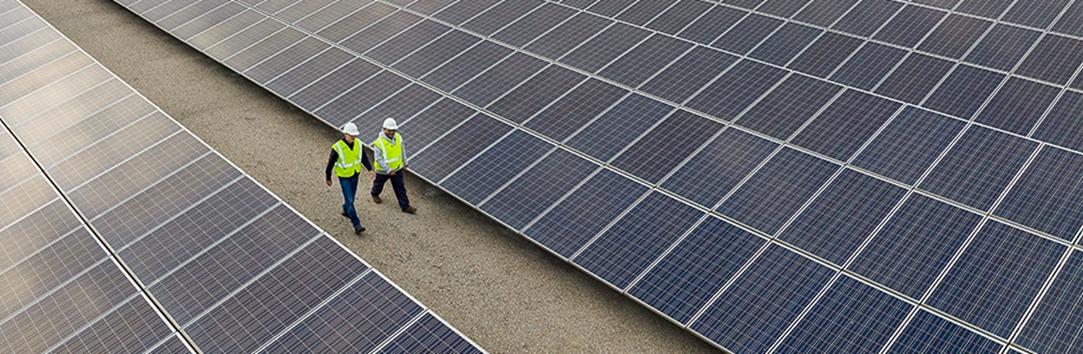 Workers walking past solar panels